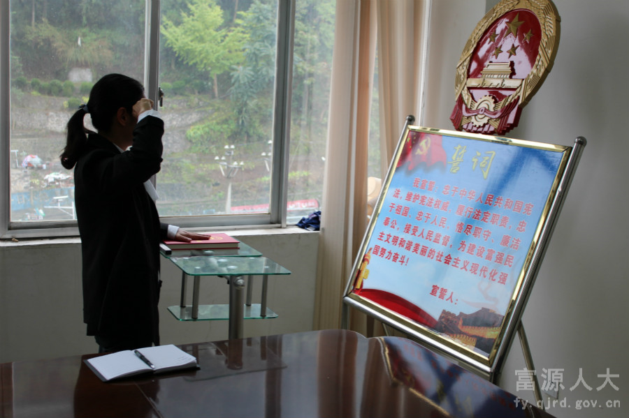 十八连山镇组织新任命副镇长向宪法宣誓_meitu_9.jpg